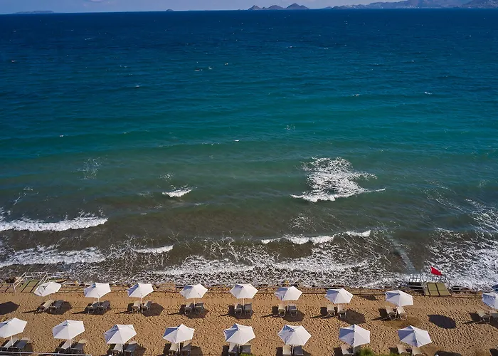 White Olive Marine Aquapark 4*